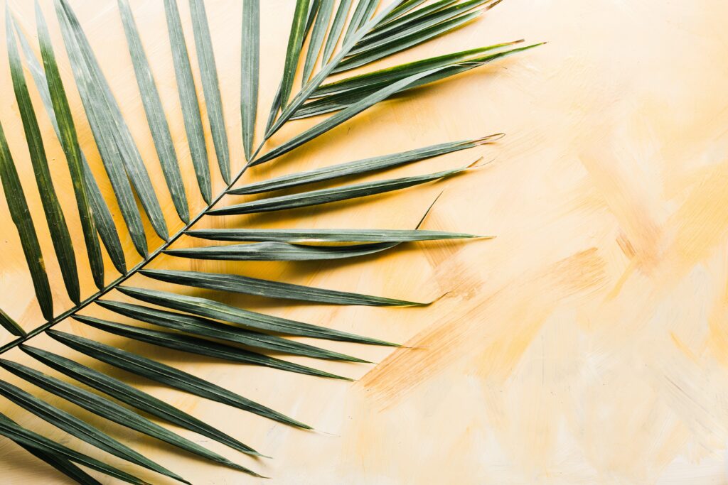 What Is Palm Sunday And Why Is It Important?